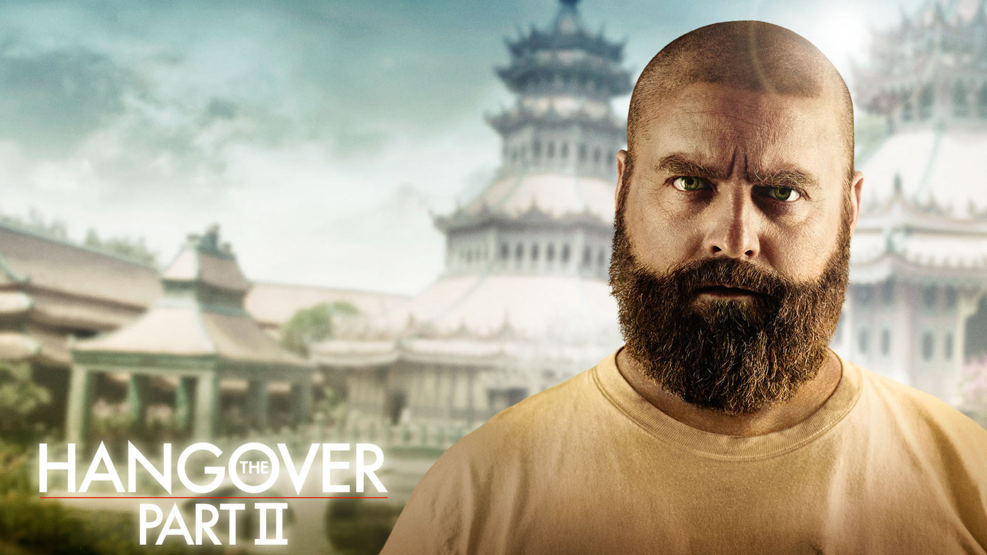 Alan Hangover 2 Quotes. QuotesGram