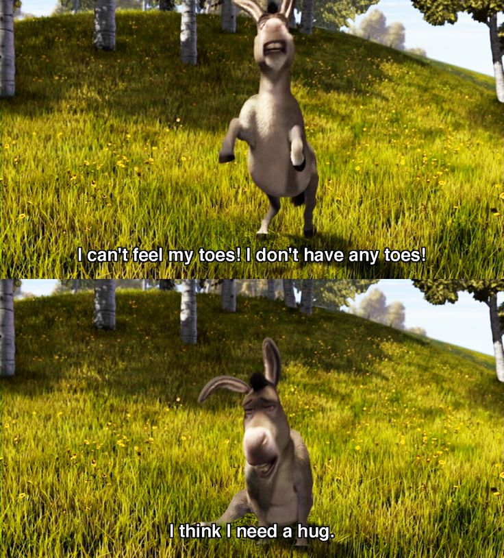Shrek Donkey Quotes QuotesGram Shrek Donkey Quotes QuotesGram