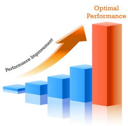 Performance Performance