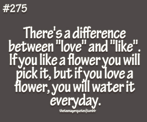 difference between like and equal definition difference between like and equal definition