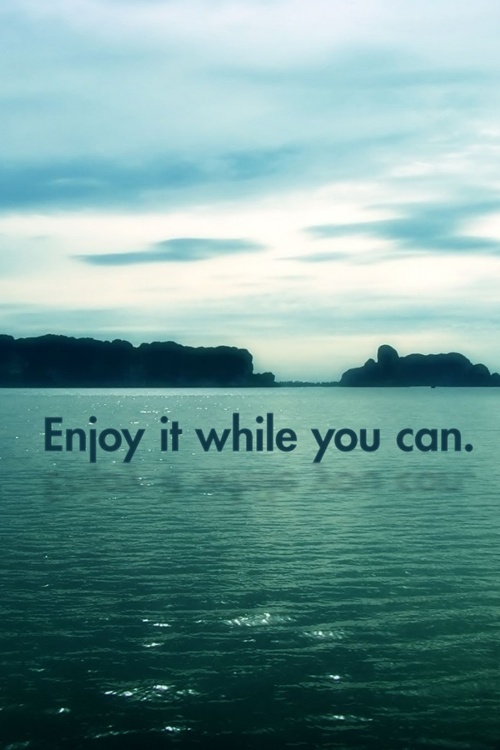 Enjoy Yourself Quotes. QuotesGram