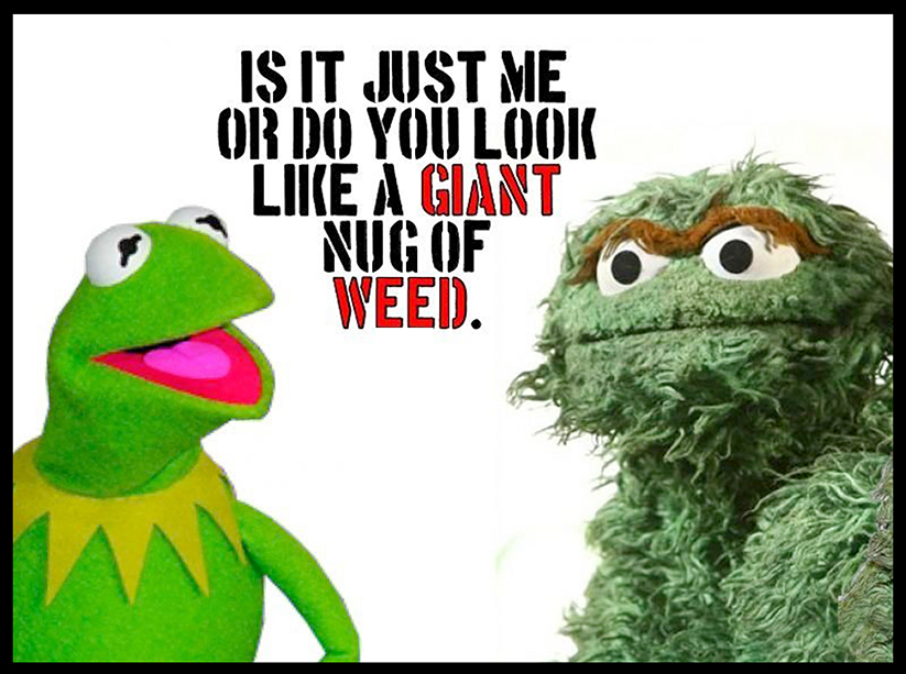 Kermit The Frog Quotes