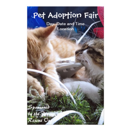 Cat Adoption Quotes. QuotesGram