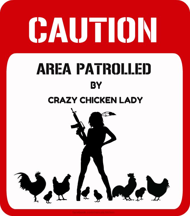 Quotes And Sayings About Chickens. QuotesGram