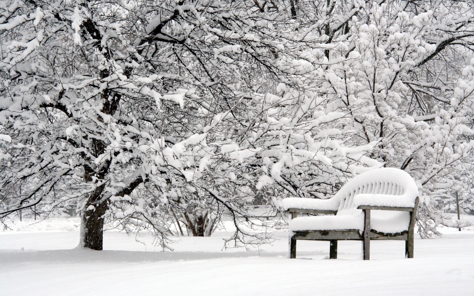 Winter Bench Quotes. QuotesGram