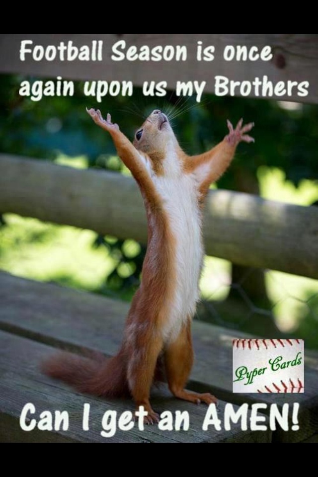 Cute Squirrel Quotes. QuotesGram