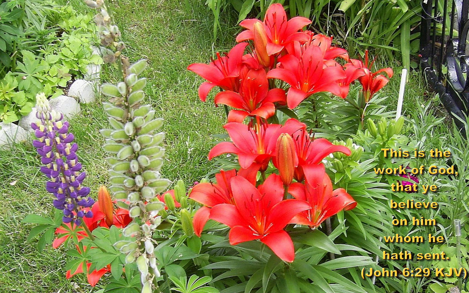 Bible Quotes About Flowers. QuotesGram