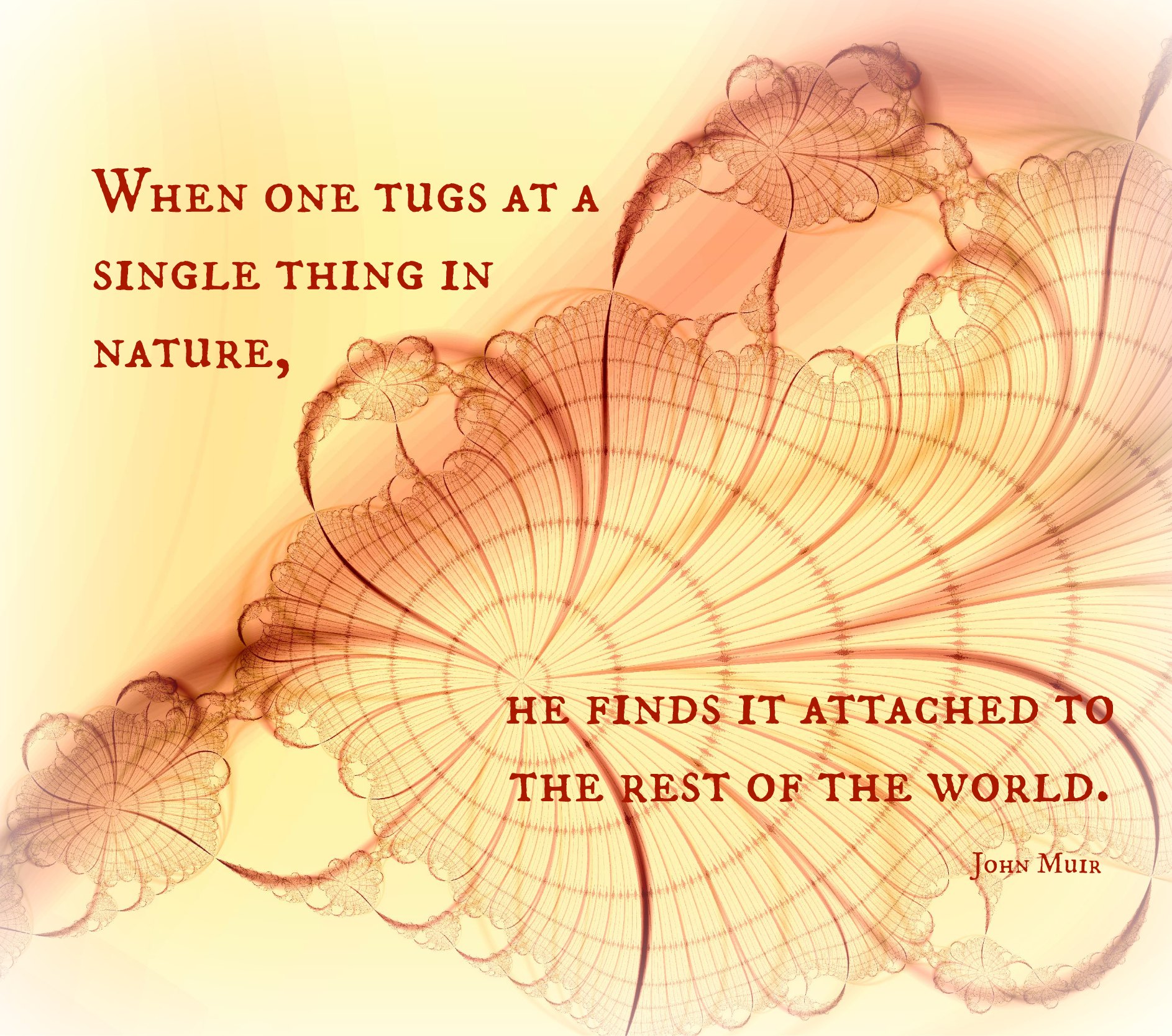 Tug Quotes Quotesgram Tug Quotes Quotesgram