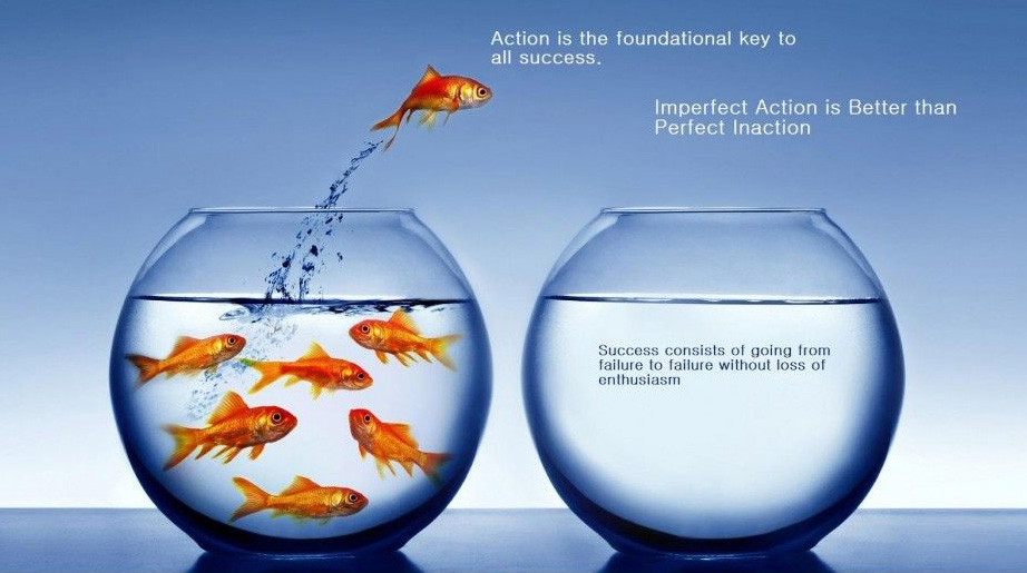 quotes-about-fish-bowls-quotesgram