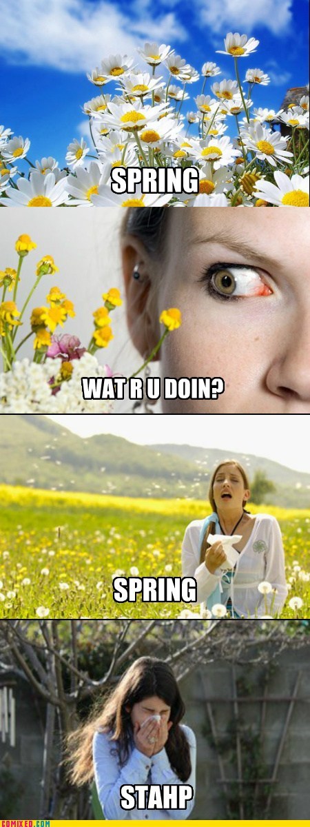 Funny Quotes About Seasonal Allergies.