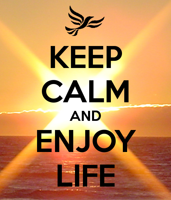Enjoy Your Life Quotes. QuotesGram