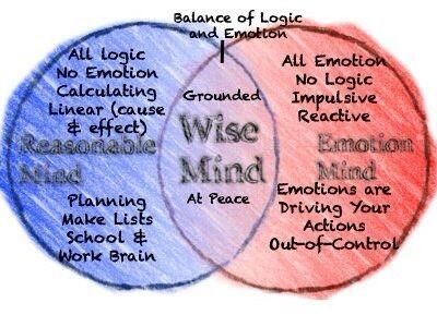 mind wise dbt therapy emotional vs emotion logic skills states quotes dialectical mindfulness emotions mental behavior health reasonable worksheets state