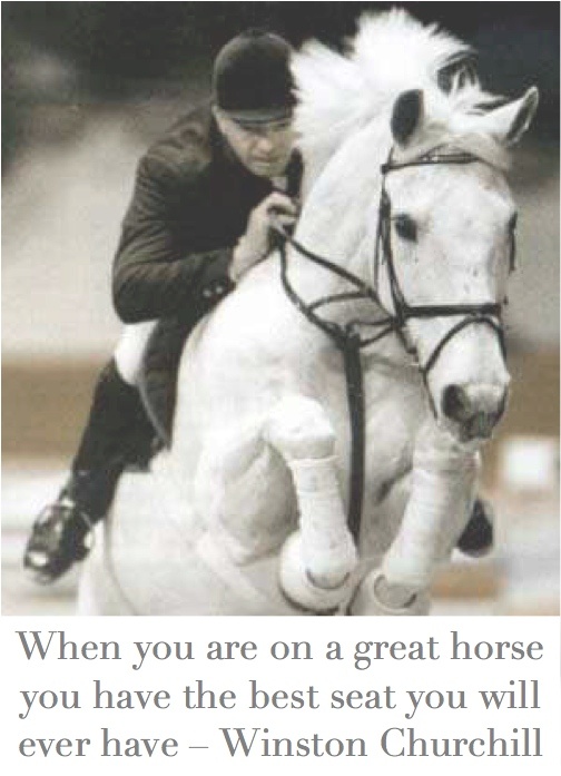 Winston Churchill Horse Quotes. QuotesGram