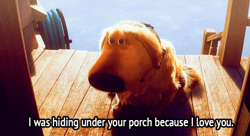 Up Movie Dog Quotes Quotesgram