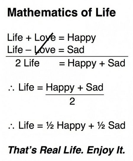 Dumb Math Quotes. QuotesGram