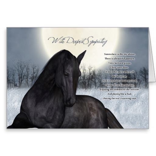 Condolences Loss Of Horse Quotes. QuotesGram