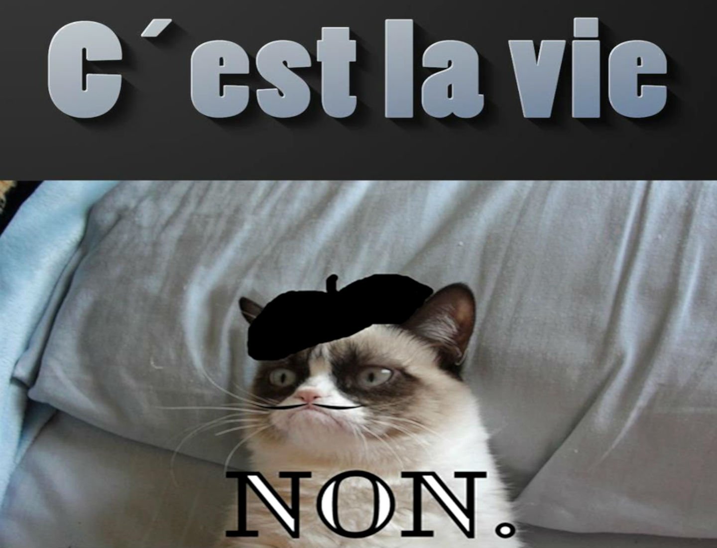 Funny Quotes About French