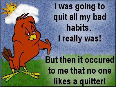Chicken Hawk Quotes. QuotesGram