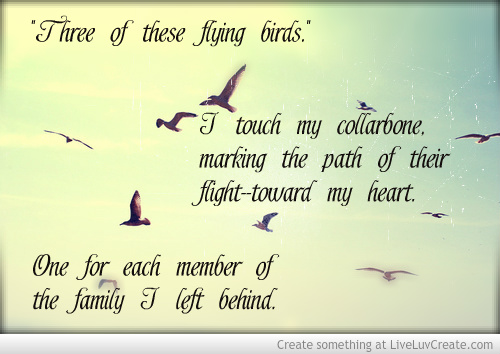 divergent book quotes tris