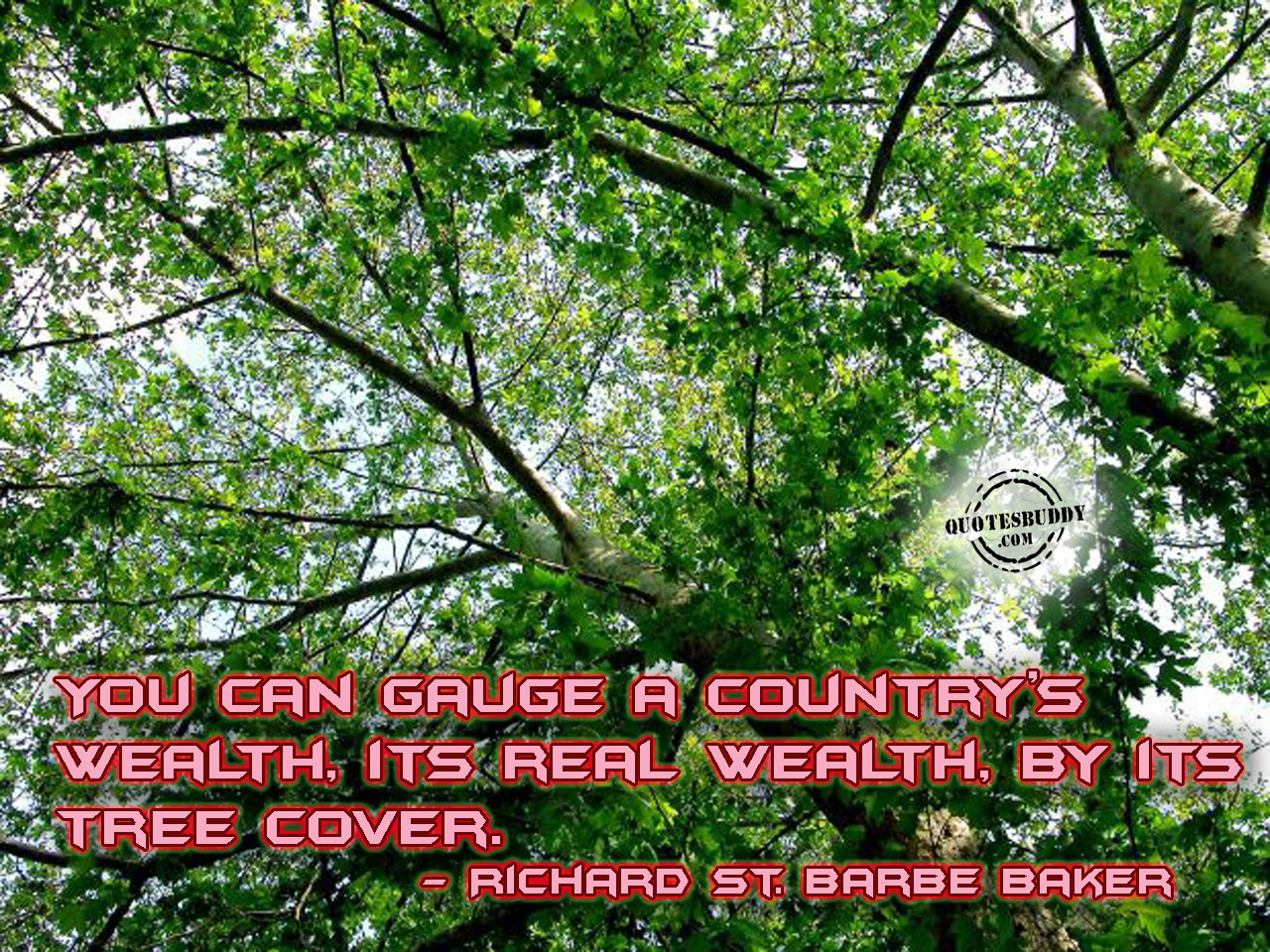 Arbor Day Quotes. QuotesGram