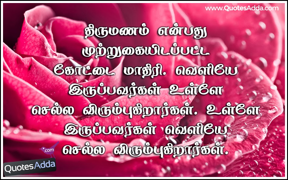  Tamil  Quotes  In Marriage  QuotesGram