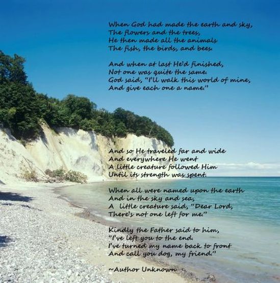 Rescue Dog Poems And Quotes. QuotesGram