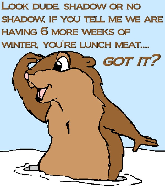 Groundhog Jokes And Quotes. QuotesGram