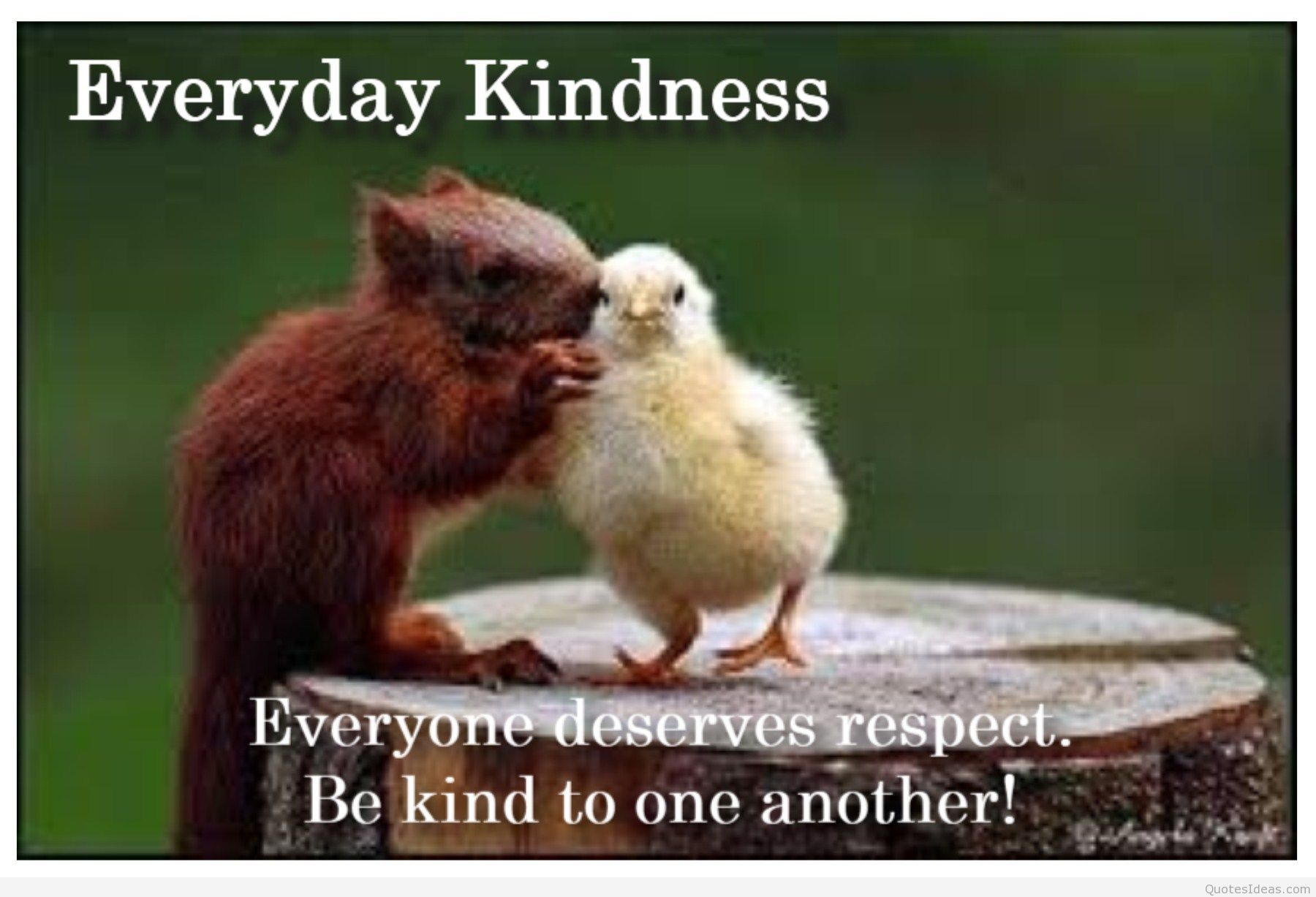 Funny Quotes About Respect QuotesGram funny-quotes-about-respect-quotesgram