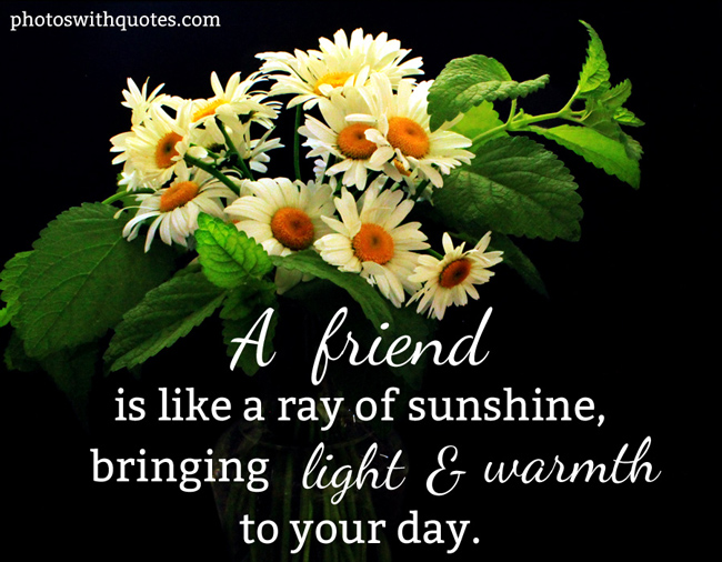 Quotes About Sunshine And Friends. QuotesGram
