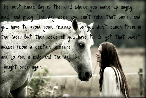 Famous Quotes About Horses. QuotesGram
