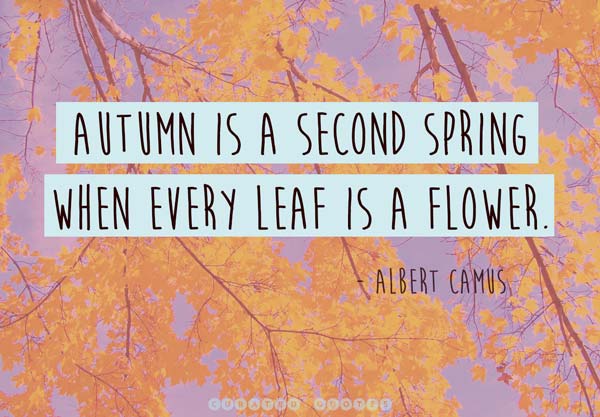 Autumn Birthday Quotes. QuotesGram