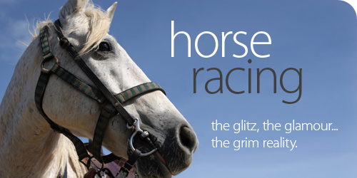 Horse Racing Quotes. QuotesGram