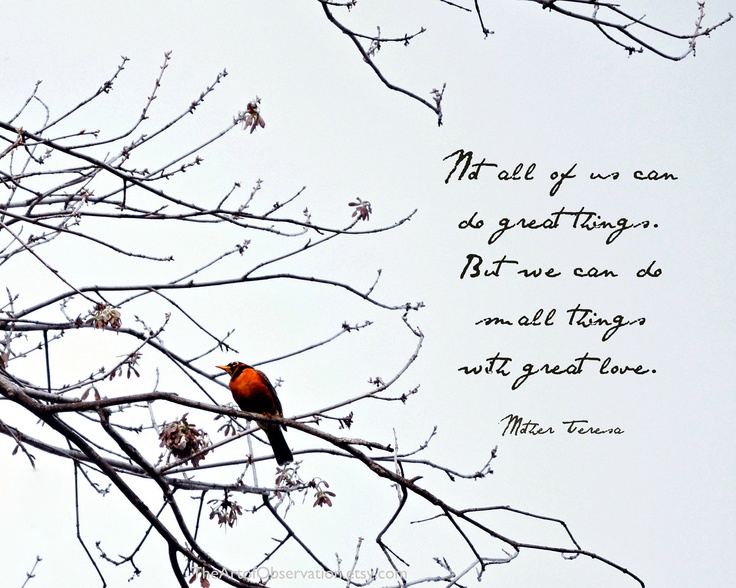 Robin Bird Quotes. QuotesGram