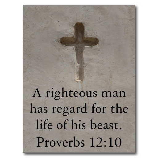 Against Animal Cruelty Quotes. QuotesGram