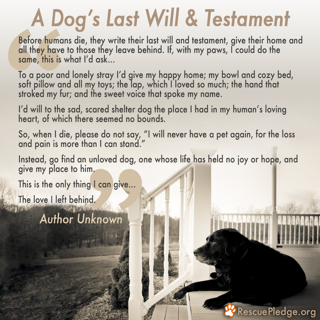 Dog Passed Away Quotes QuotesGram