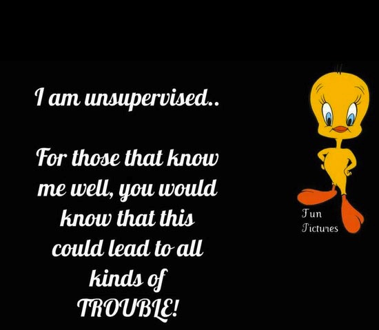 Humorous Quotes Of The Day. QuotesGram