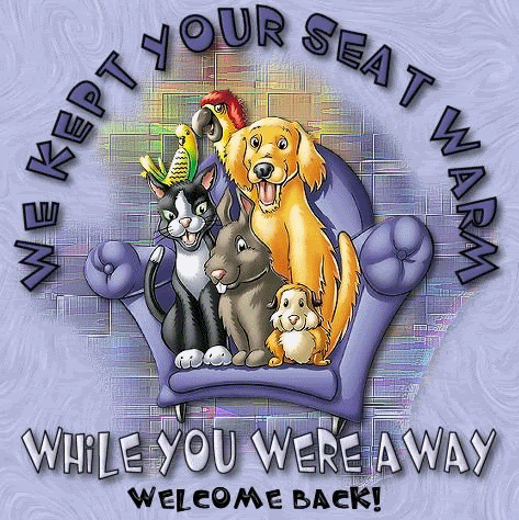 Welcome Back We Missed You Quotes Quotesgram