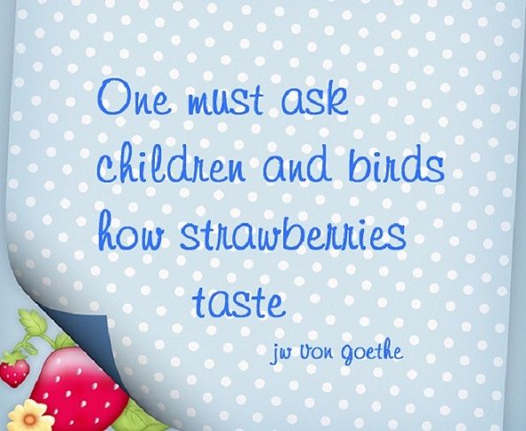 Strawberry Quotations Quotes. QuotesGram