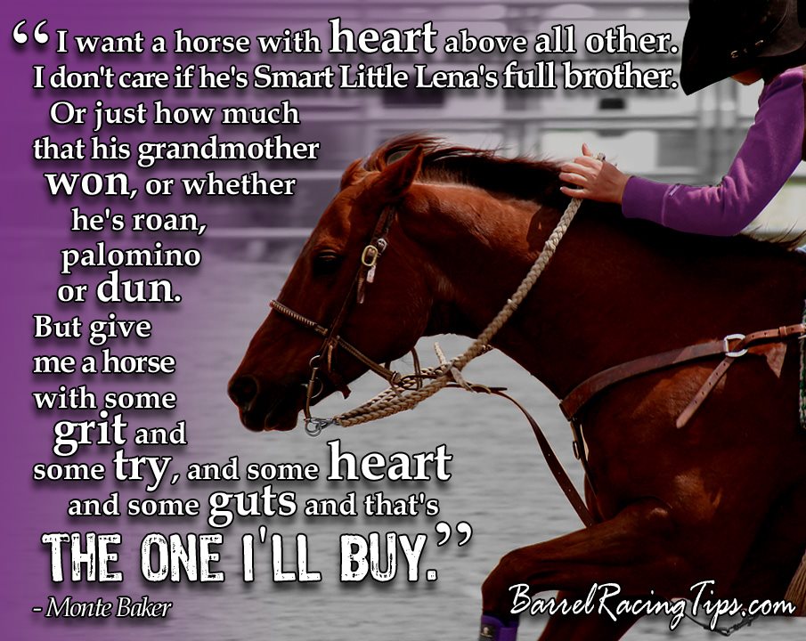 Cool Barrel Racing Quotes. QuotesGram