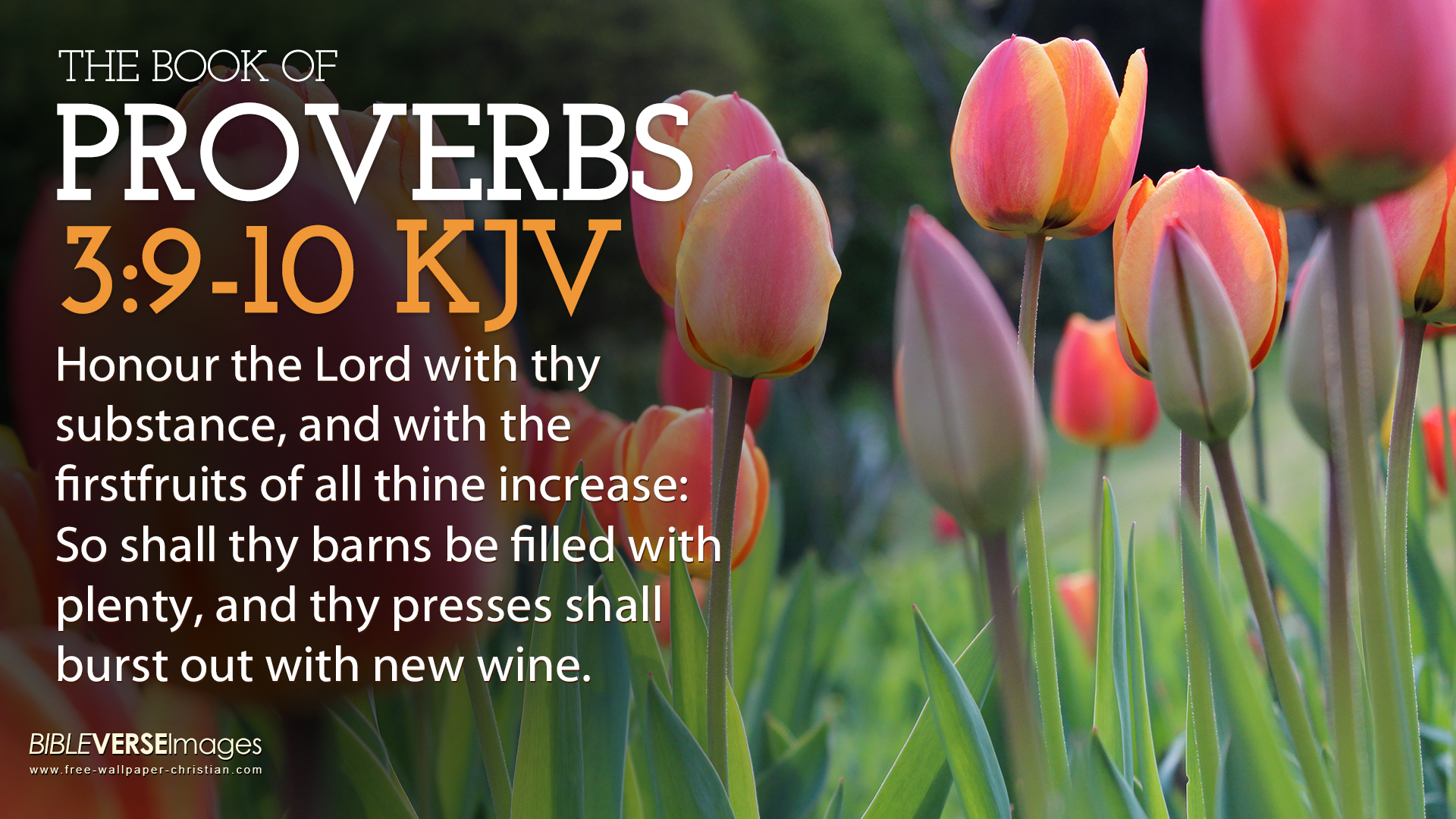 Bible Verses About Forgiveness Kjv Kjv Bible Quotes On Forgiveness. Quotesgram