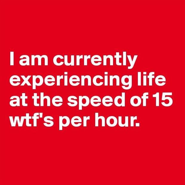 Wtf Quotes Funny. QuotesGram Wtf Quotes Funny. QuotesGram