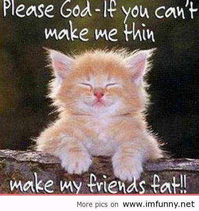 picture Cute Animal Pictures With Funny Sayings funny wildlife quotes quotesgram