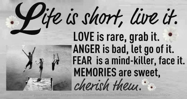 Life Is About Quotes And Stuff. QuotesGram