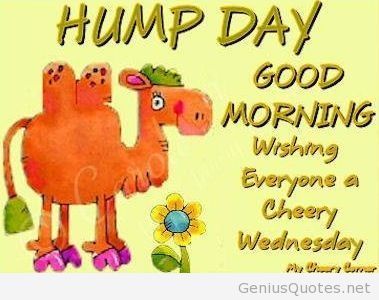 Hump Day Wednesday Quotes Funny. QuotesGram