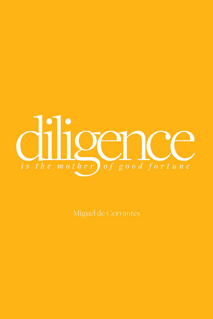 Famous Quotes On Diligence. QuotesGram