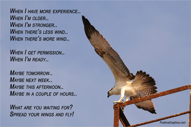 Quotes Spread Your Wings. QuotesGram