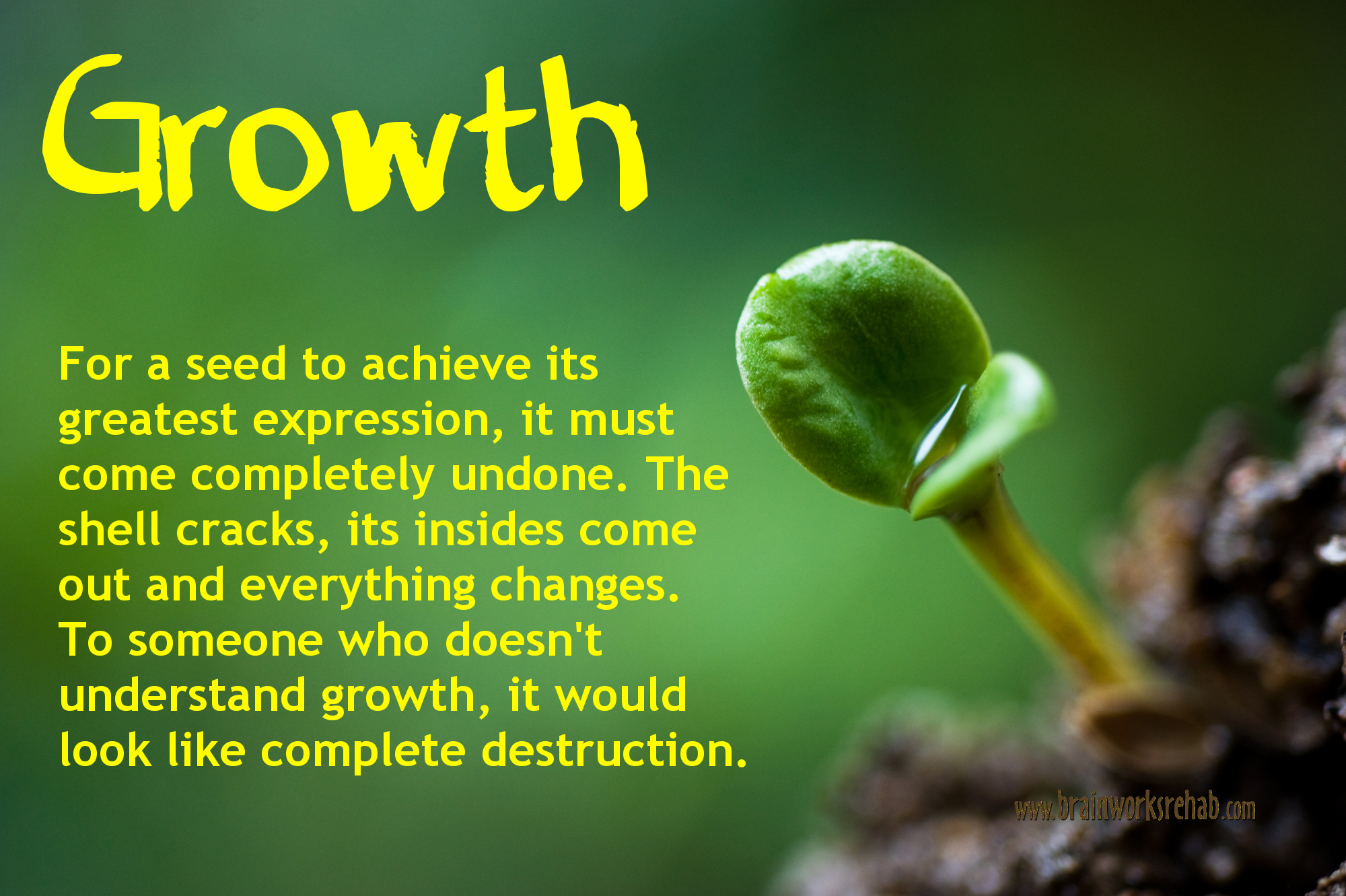 quotes-about-growth-and-seeds-quotesgram