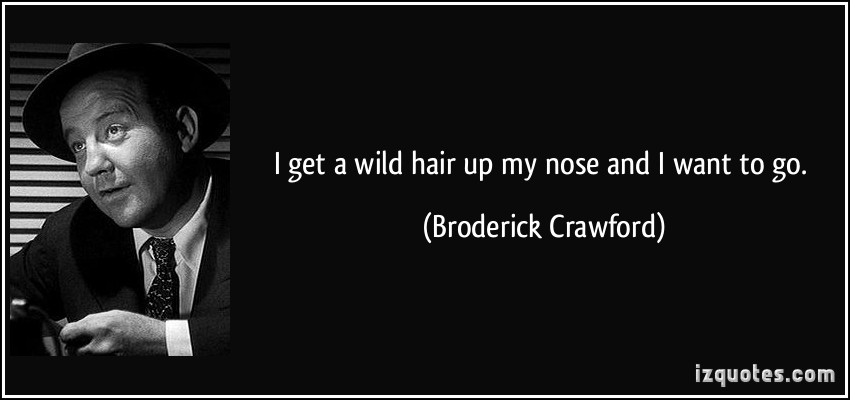 Crazy Hair Quotes. QuotesGram Crazy Hair Quotes. QuotesGram