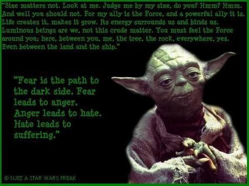 Quotes Wisdom Of Yoda. QuotesGram