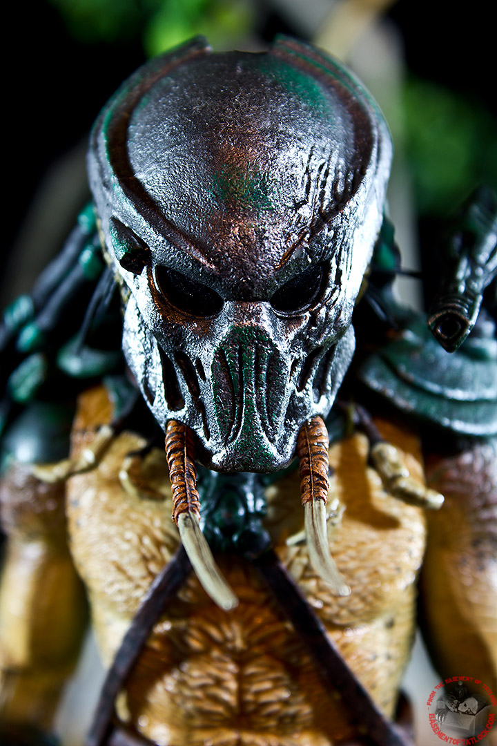 Predator And Prey Quotes. QuotesGram